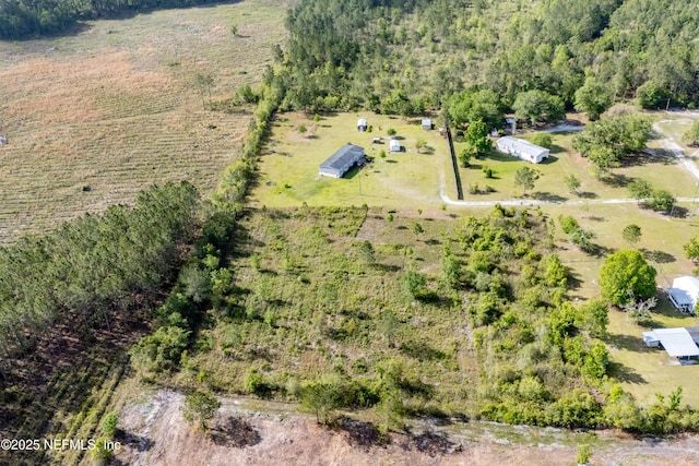 TBD SE 48th Ln, Hampton, FL 32044