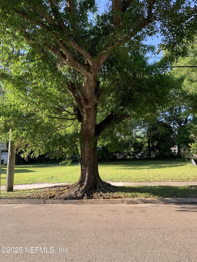 1169 W 31st St, Jacksonville, FL 32209