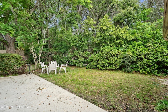 4261 Via Valencia Cir, Jacksonville, FL 32217 - view of yard featuring a patio