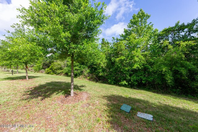 2627 Sandy Dune Dr, Jacksonville, FL 32233 - view of yard