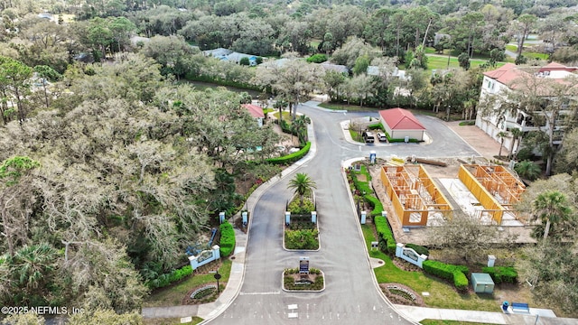 bird's eye view