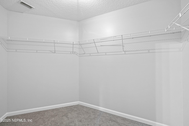 spacious closet featuring visible vents and carpet