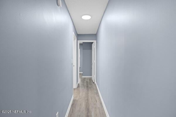 11978 Canterwood Dr, Jacksonville, FL 32246 - hall featuring light wood finished floors and baseboards