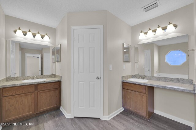 2395 Watermill Dr, Orange Park, FL 32073 - bathroom featuring wood finished floors, a sink, and visible vents