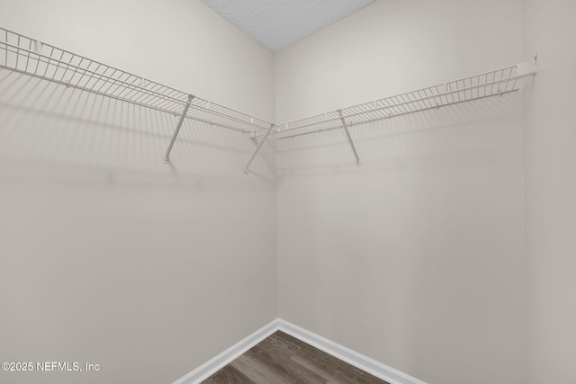 2395 Watermill Dr, Orange Park, FL 32073 - walk in closet featuring dark wood finished floors