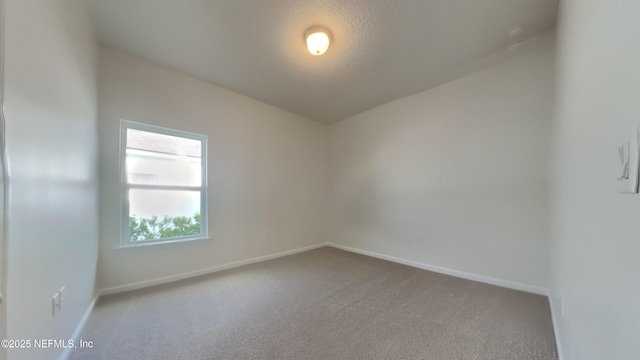 3849 Hammock Bluff Dr, Jacksonville, FL 32226 - photo 12
