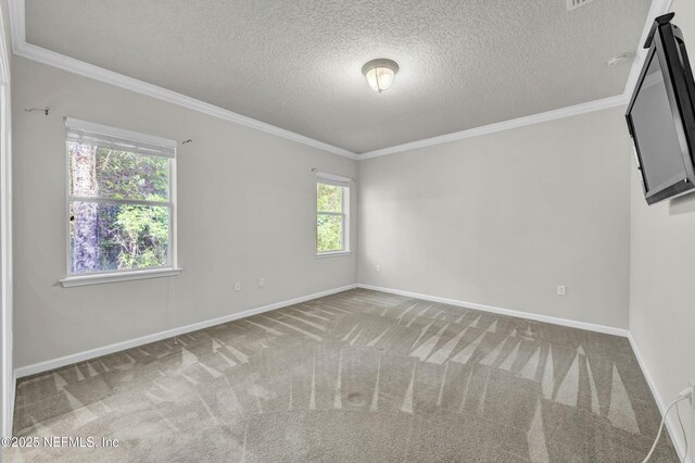 11834 Alexandra Dr, Jacksonville, FL 32218 - photo 9