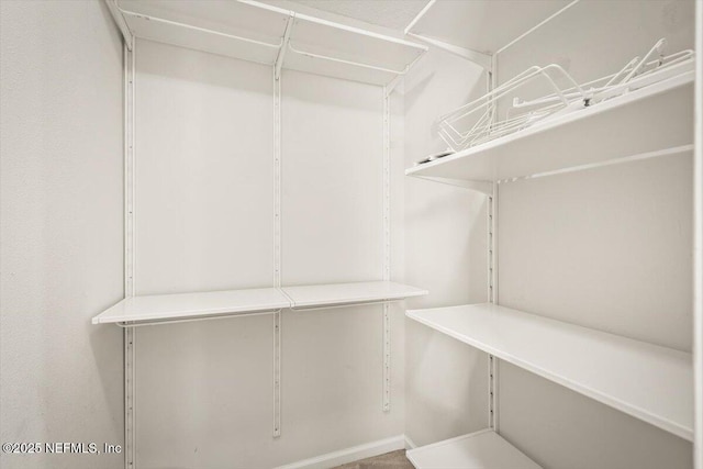7831 Melvin Rd Unit 1, Jacksonville, FL 32210 - view of walk in closet