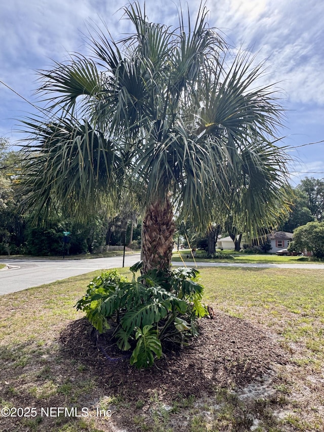 512 Clinton Dr, Orange Park, FL 32073 - view of green lawn