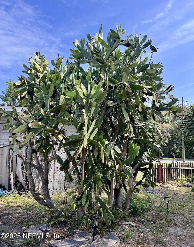 512 Clinton Dr, Orange Park, FL 32073 - view of yard