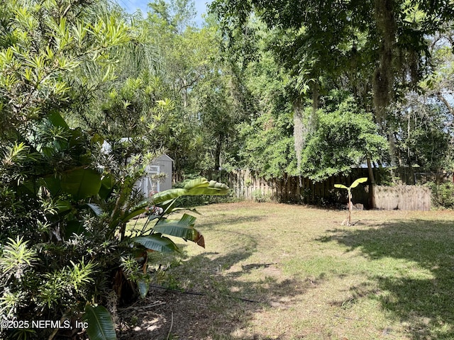 512 Clinton Dr, Orange Park, FL 32073 - view of yard
