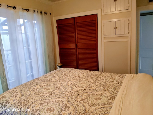 512 Clinton Dr, Orange Park, FL 32073 - bedroom with a closet and crown molding