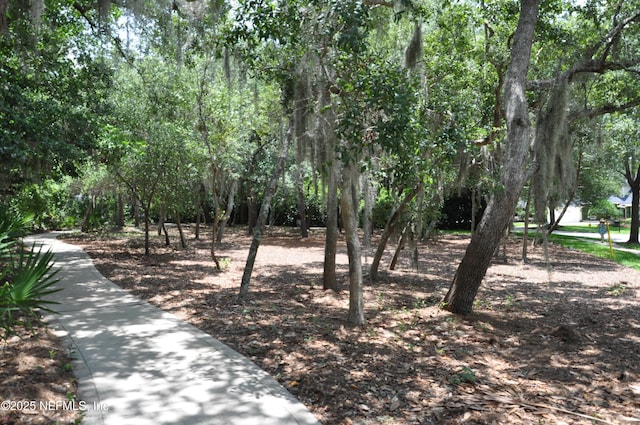 649 Treehouse Cir, Saint Augustine, FL 32095 - photo 155