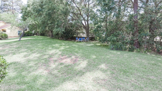765 Sea Oats Bay, Ponte Vedra Beach, FL 32082 - view of yard