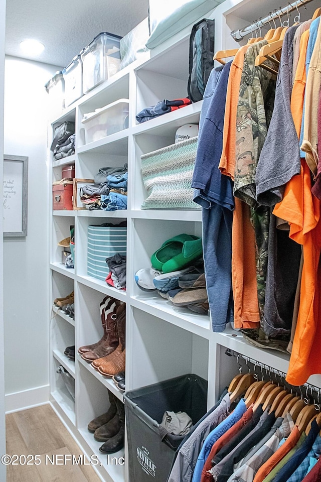 walk in closet featuring wood finished floors