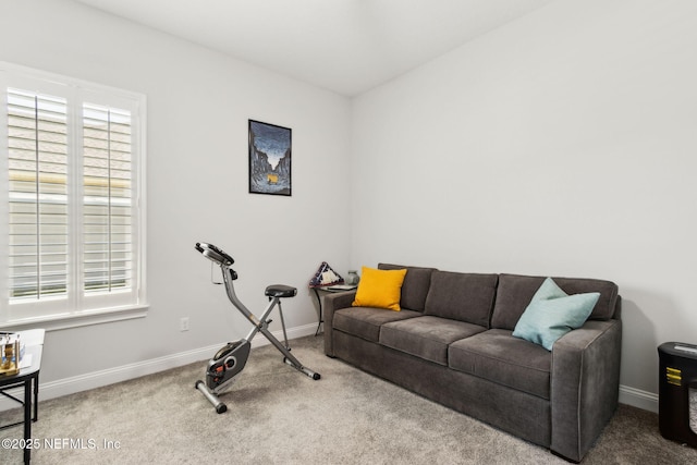 exercise room with baseboards, plenty of natural light, and carpet