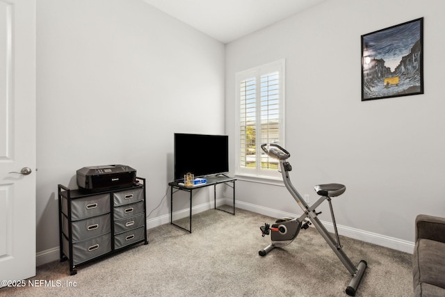 exercise area featuring baseboards and carpet