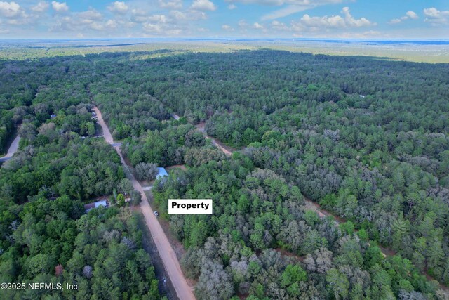 00 Louise Ave, Interlachen, FL 32148 - photo 2