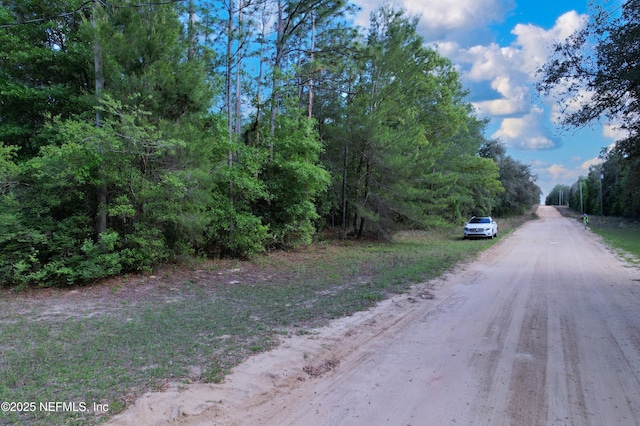 00 Louise Ave, Interlachen, FL 32148 - photo 4