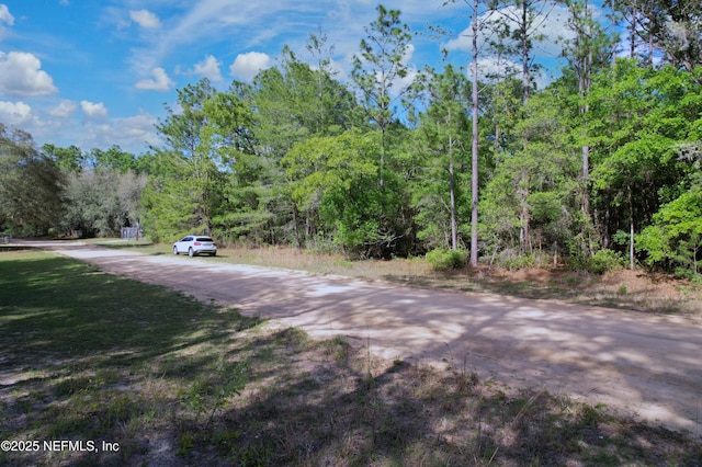 00 Louise Ave, Interlachen, FL 32148 - photo 5