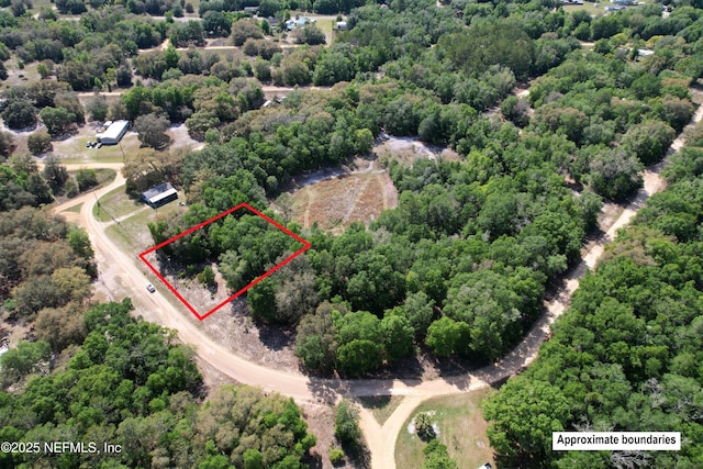 0 Gardner Dr, Interlachen, FL 32148 - photo 2