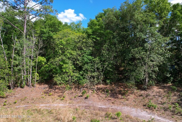 0 Gardner Dr, Interlachen, FL 32148 - photo 5