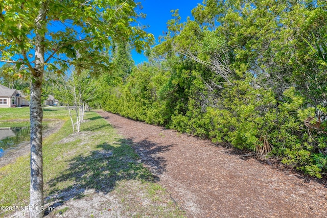 86 Amacano Ln, Saint Augustine, FL 32084 - view of yard