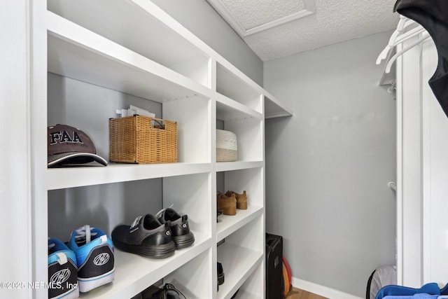 3620 Braeden Ct, Middleburg, FL 32068 - interior space with wood finished floors and attic access