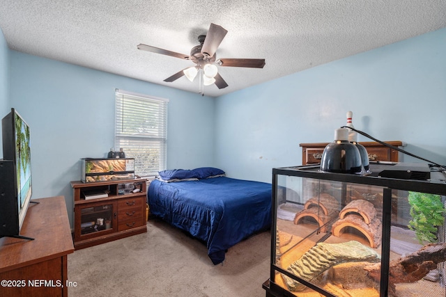6583 Big Stone Dr, Jacksonville, FL 32244 - photo 17