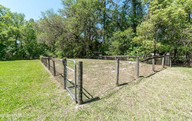4147 Saunders Dr, Middleburg, FL 32068 - view of yard with fence