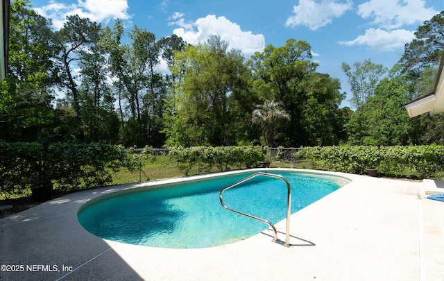4147 Saunders Dr, Middleburg, FL 32068 - view of swimming pool featuring a fenced backyard, a fenced in pool, and a patio