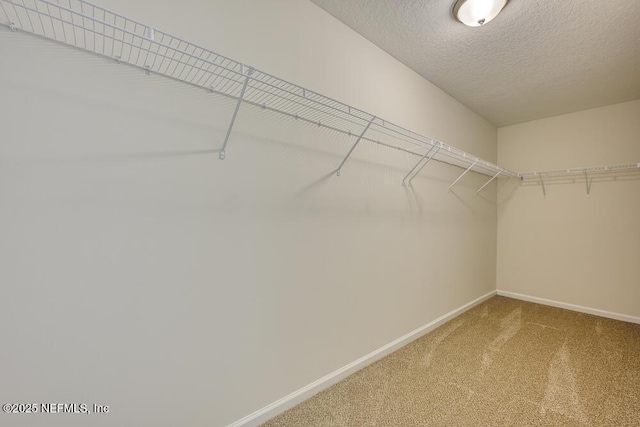 164 Northside Dr N, Jacksonville, FL 32218 - photo 20