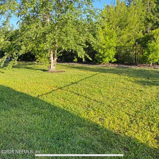 273 Caribbean Pl, Saint Johns, FL 32259 - view of yard