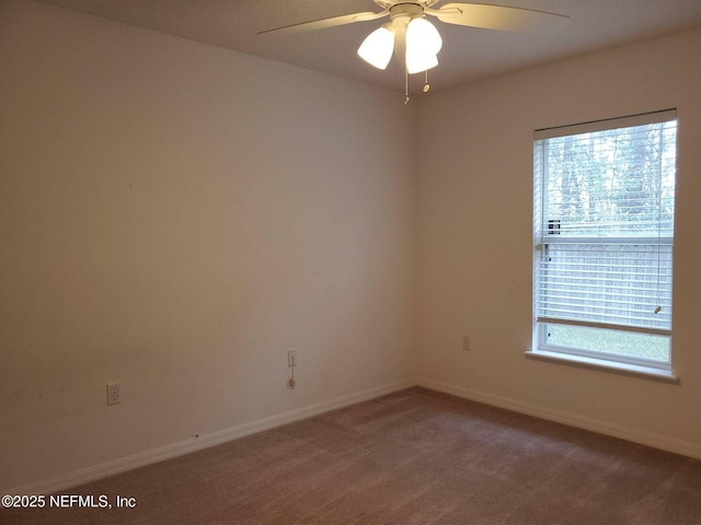 3429 Steelgate Ct, Middleburg, FL 32068 - spare room featuring baseboards, ceiling fan, and carpet