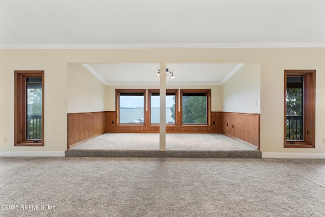 unfurnished living room with wainscoting, wood walls, and carpet
