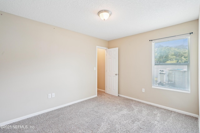 12145 Versailles St, Jacksonville, FL 32224 - photo 20