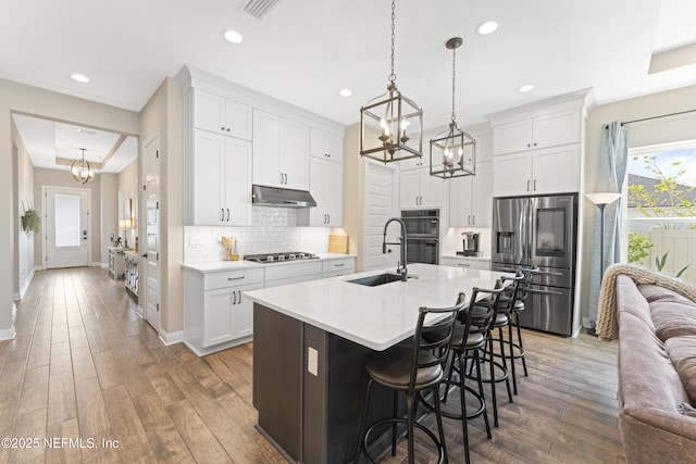 380 Maralinda Dr, Saint Augustine, FL 32095 - kitchen with a chandelier, appliances with stainless steel finishes, wood finished floors, a sink, and under cabinet range hood