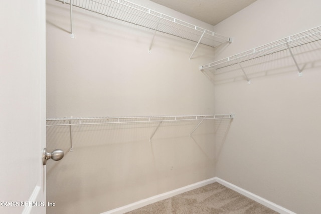 95210 Leafcrest Ct, Fernandina Beach, FL 32034 - walk in closet featuring carpet flooring