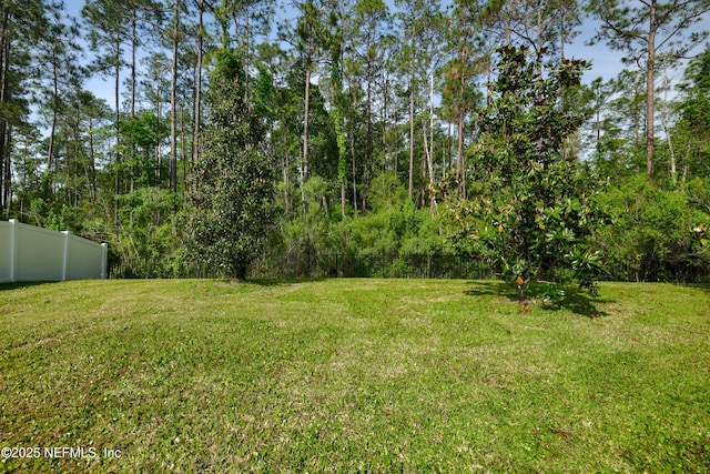 121 Oxford Estates Way, Saint Johns, FL 32259 - view of yard with fence