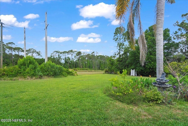 15 Dartmouth Trce, Ormond Beach, FL 32174 - view of yard