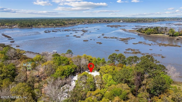 aerial view with a water view and a forest view