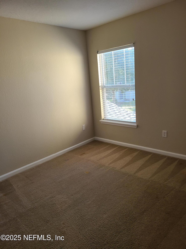 6700 Bowden Rd Unit 1304, Jacksonville, FL 32216 - photo 15