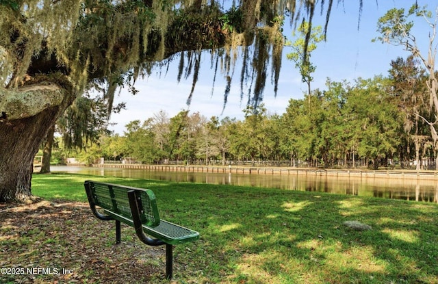 120 Oakwood Plantation Dr, Fleming Island, FL 32003 - view of property's community with a water view and a lawn