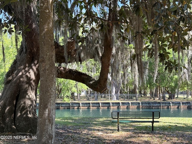 120 Oakwood Plantation Dr, Fleming Island, FL 32003 - view of community with a water view