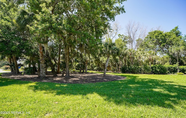 1648 Nottingham Knoll Dr, Jacksonville, FL 32225 - photo 39