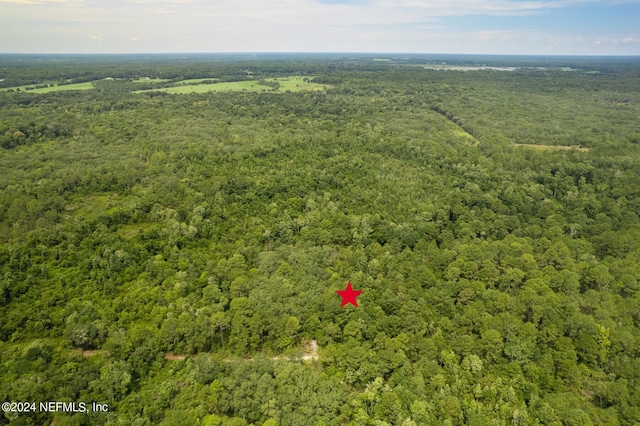 0 Phillips Rd, Florahome, FL 32140