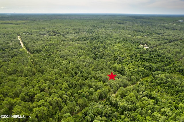 0 Phillips Rd, Florahome, FL 32140