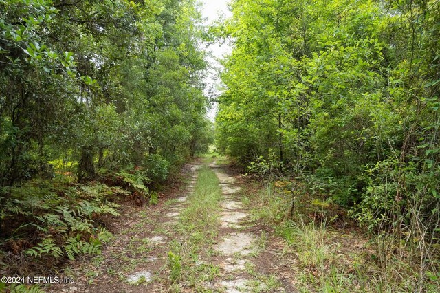 0 Phillips Rd, Florahome, FL 32140