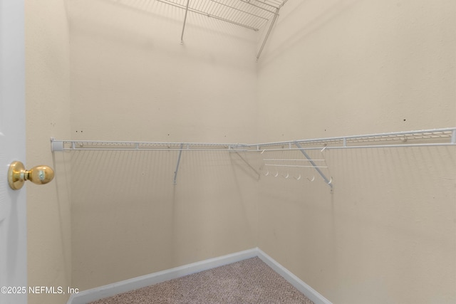 7250 Deerfoot Point Cir Unit 1, Jacksonville, FL 32256 - walk in closet featuring carpet flooring