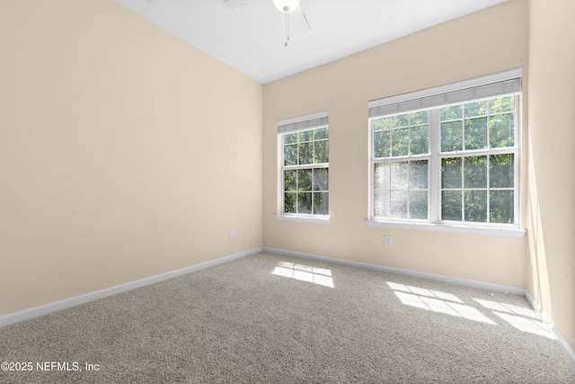 7250 Deerfoot Point Cir Unit 1, Jacksonville, FL 32256 - carpeted empty room featuring plenty of natural light, baseboards, and ceiling fan